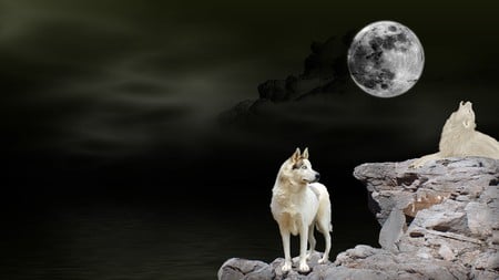 Howling Wolf Waters - moon, sky, lake, rocks, wolves, river, waters, firefox persona, white wolf, haunting