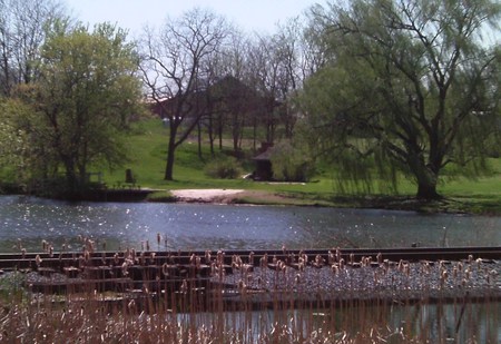 tracks over pond - pond, gazebo, barn, train tracks, cattails, picnic table, willows