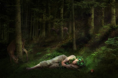 DREAMING - green, forest, female, dreaming