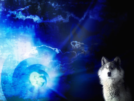 Wolf - night, animal, wolaf, blue