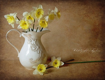 still life - pretty, elegantly, beautiful, photography, kettle, daffodils, lovely, photo, cool, flower, still life, bouquet, harmony, flowers, nice, gently