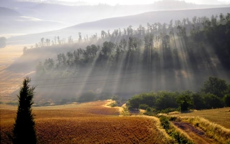 MORNING MIST - sunlight, the road, hills, nature, rays, beauty, field, morning mist