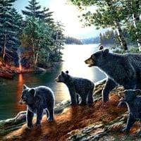 BEAR FAMILY OUTING