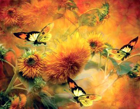 BUTTERFLIES AND FLOWERS - orange, green, flowers, butterflies