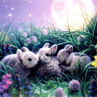 BABY BUNNIES