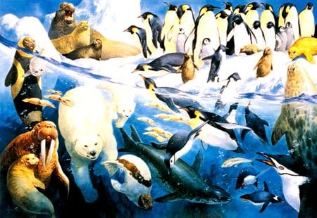 Arctic World. - walrus, seals, penguins, whales polar bears