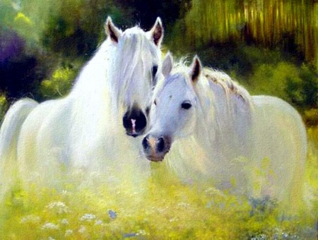 Snuggles - horses, trees, white horses, field, flowers