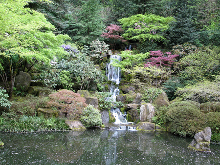 beautiful garden - garden, pond, beautiful, waterfal, japanese