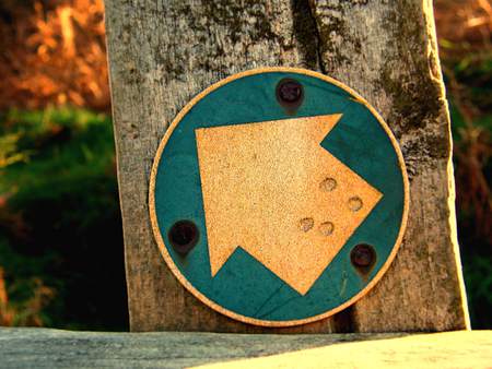 Signpost - tree, like, arrow, brown