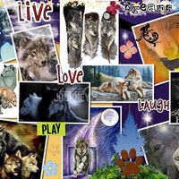 COOL WOLF COLLAGE