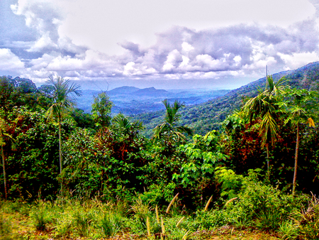 Mountain view - trees, mountain, jungle, beautiful, clouds, green, grass