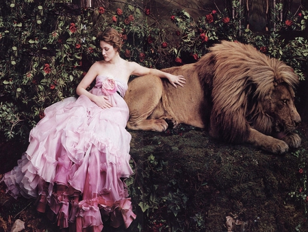 BEAUTY and THE KING - woman, lion, beast, pink, bride, king, garden