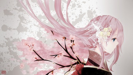 Megurine Luka - aqua, music, anime girl, white, art, cool, petals, kimono, aqua eyes, artistic, song, vocaloids, program, sakura, vocaloid, beautiful, pink, digitail, diva, gone, nice, beauty, singer, black, virtual, pretty, megurine luka, idol, sakura petals, anime, cute, megurine, love, luka, girl, sad, pink hair, cg, awesome