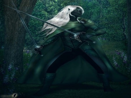 the warrior - white, forest, dark, hair, sword, black