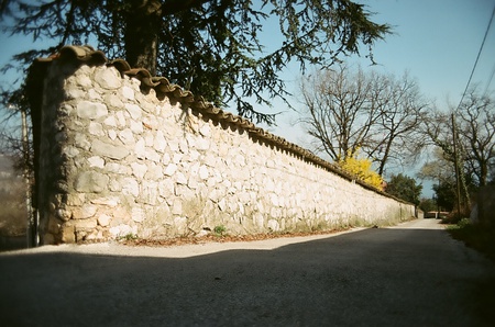 wall - street, yelow, trees, wall