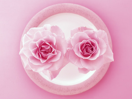 pink is beautiful - round, nature, pink, flowers, still life, rose