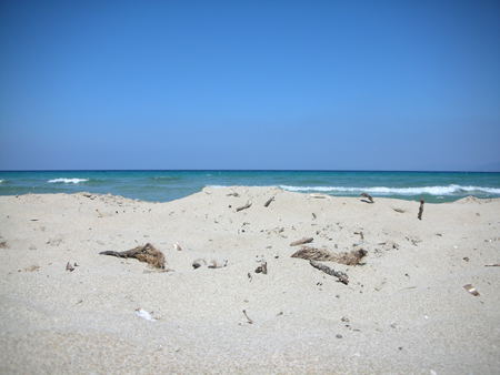 Ladies Beach - nature, ladies beach, kusadasi, turkey