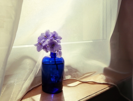 still life - flowers, bottle, blue, window, still life