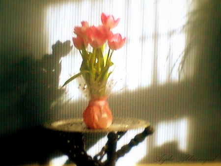 a sunny day - tulips, table, vase, still life, sunshine