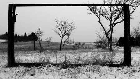 Alb si Negru - natura, iarna, copaci, alb, tablou, picture, tree, nature, negru