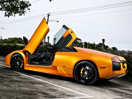 Lamborghini Murcielago - cars wallpapers, lamborghini wallpapers, lamborghini murcielago, lambo