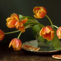 Orange tulips