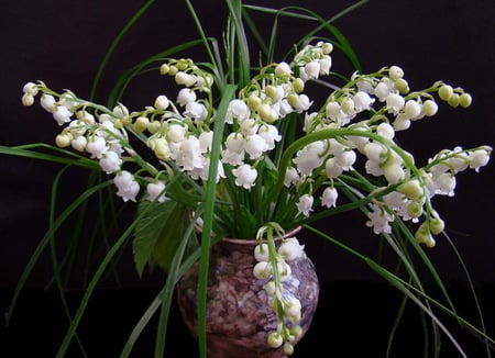 White mouguets - wonderful, vase, white, purple, mouguets, green leaves