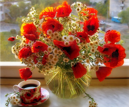 red amapolas - little daisies, glass vase, red amapolas, windows, cup of coffee