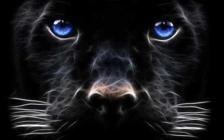 Black fury - beauty, panther, fractal, feline