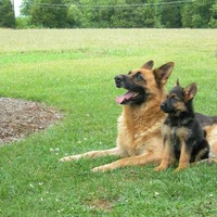 THIS IS FOR misty7j3