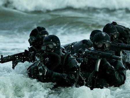 Seals - war, target, water, blackops