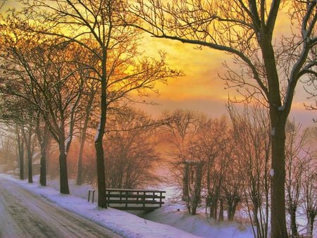 Yellow Winter - pc, popular, panorama, colorful, road, white, amazing, frozen, paysage, branches, way, wallpaper, ambar, nature, beautiful, leaves, beauty, nice, sunrises, sky, trees, photography, parks, image, black, path, mist, desktop, paisage, scenery, awesome, gray, natural, amber, view, yellow, cool, cold, golden, roots, cena, landscape, multi-coloured, scenario, maroon, snow, photoshop, seasons, leaf, brown, multicolor, clouds, sunsets, orange, bridge, scene, fullscreen, paisagem, background, day, winter, gold, picture, colours, cenario, colors, photo, misty