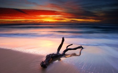 Sunset - wood, beach, splendor, sand, view, sky, clouds, beautiful, sea, beauty, colors, lovely, ocean, colorful, nature, sunset, waves, peaceful