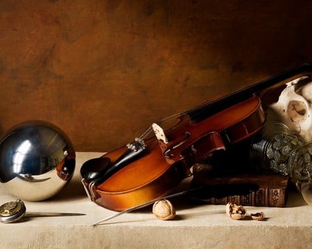 Still Life - skull, nuts, still, beautiful, table, violin, book, vase