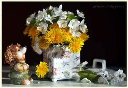 Still life - still life, vase, flowers in spring, white, yellow, arrangement, flowers, nature table, dandelion and  apple blossom, cute