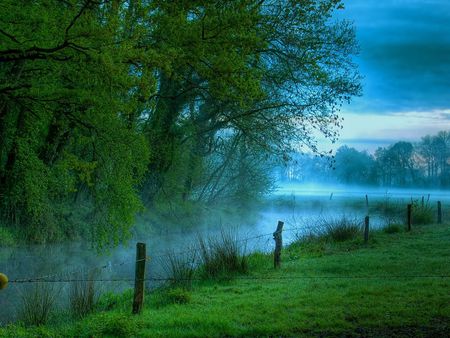 The-lagoon - clouds, water, lagoon, grass, morning, tree, nature, green, lake, sky