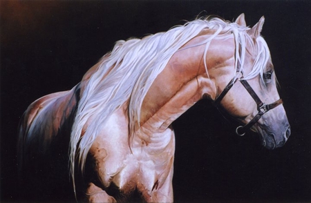 Palomino Andalusian