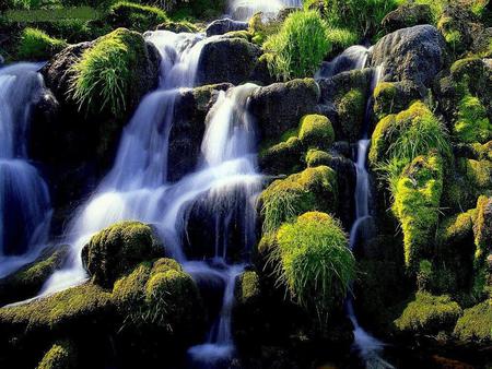 DOT Water - waterfalls, stone, water, nature, alga, green, rock, grass