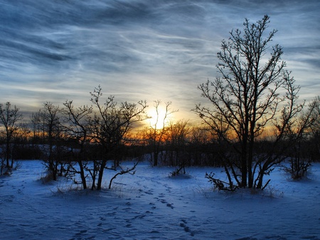 Beautiful Winter - nature, sky, trees, clouds, snow, sunsets, winter