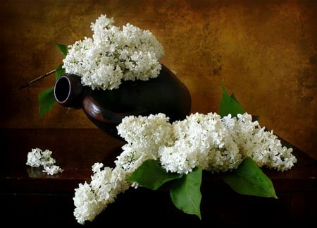 White Fragrance - lilacs, white lilacs, brown pottery, flowers, still life, pottery