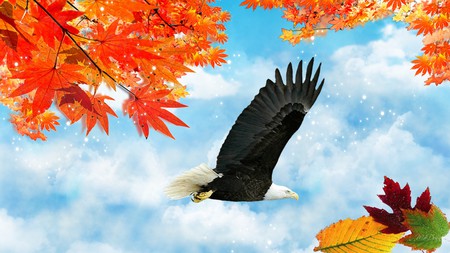 Eagles Autumn - sky, autumn, eagle patriotic, bird, fall, clouds, orange, leaves, usa, firefox persona