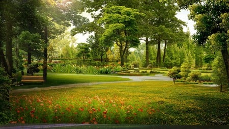 Morning at the Park - trees, morning light, road, park bench, trails, paths, flowers, sunrays, firefox persona