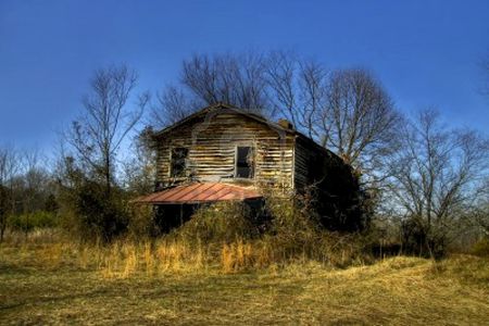 Abandoned - house, grass, trees, photography