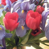 Iris and tulips