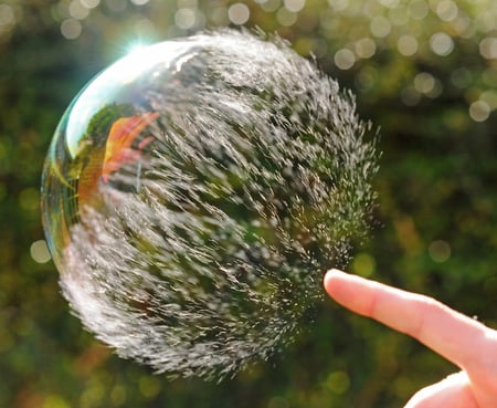 POP - whimsical, photo, bubble, pop