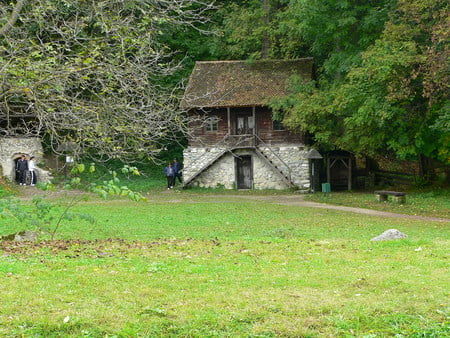 House - originalitate, frumusete, muzeu, natura