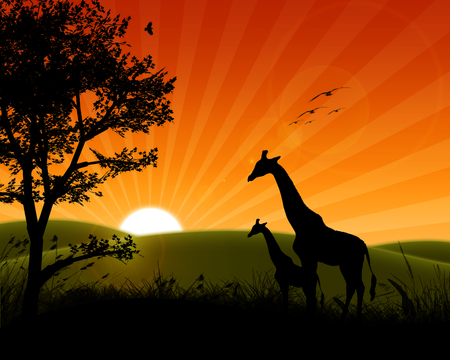 Sunrise - sky, abstract, orange, tree, giraffe