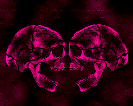 2 PINK SKULLZ - labrano, skulls, pink, soulsisters