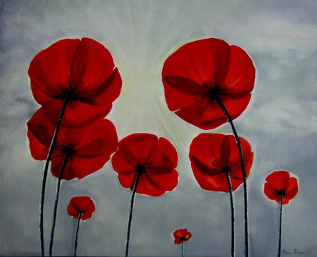 poppies - sky, blue, red, field, poppies