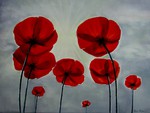 poppies